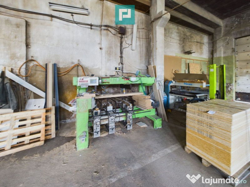 Fabrică de prelucrare a lemnului și palului 