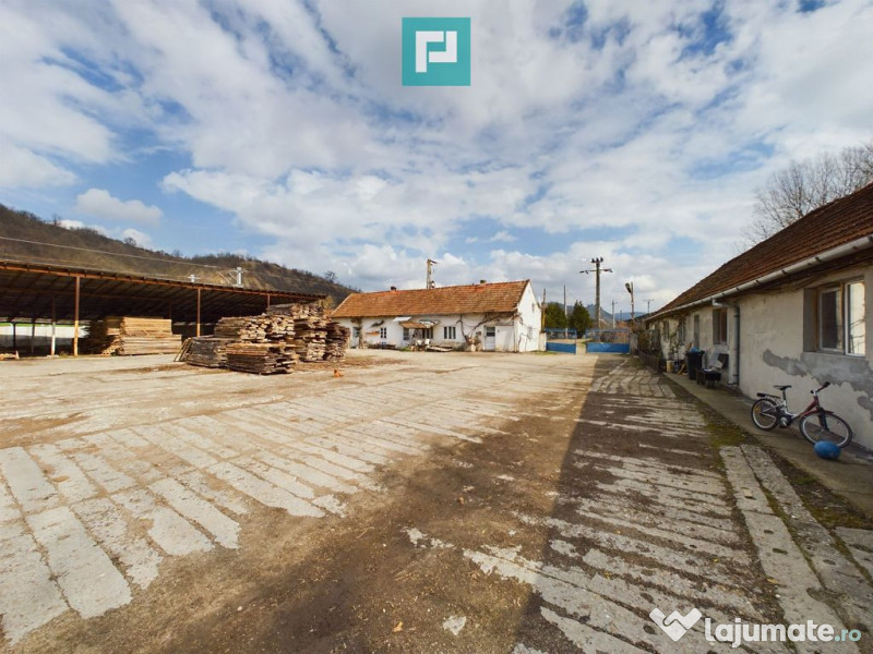 Fabrică de prelucrare a lemnului și palului 