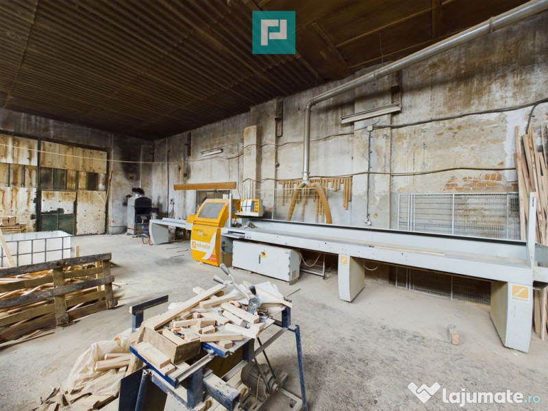 Fabrică de prelucrare a lemnului și palului 