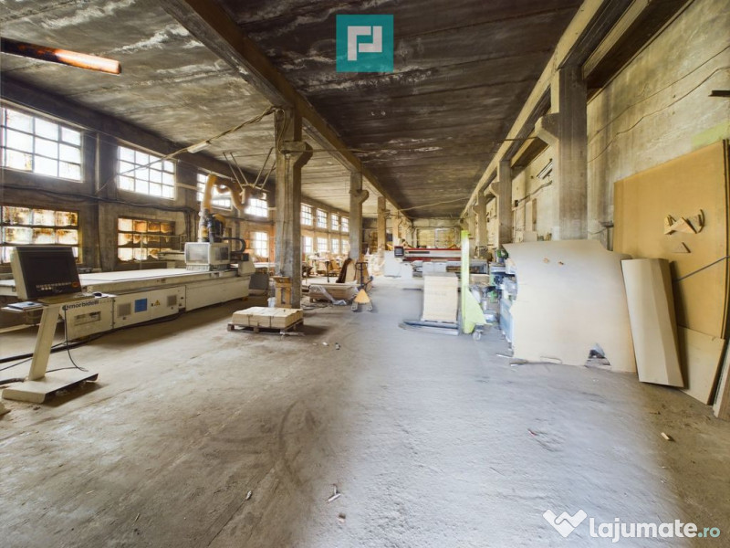 Fabrică de prelucrare a lemnului și palului 