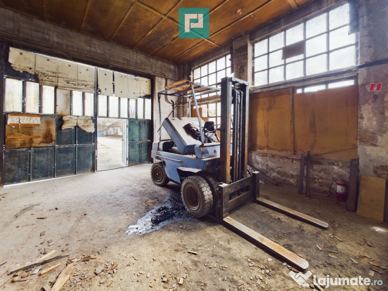 Fabrică de prelucrare a lemnului și palului 