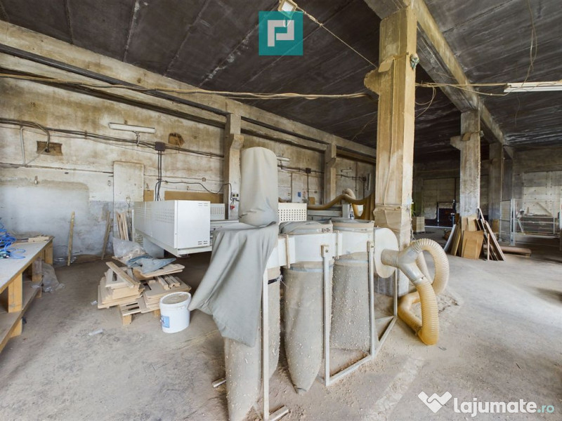 Fabrică de prelucrare a lemnului și palului 