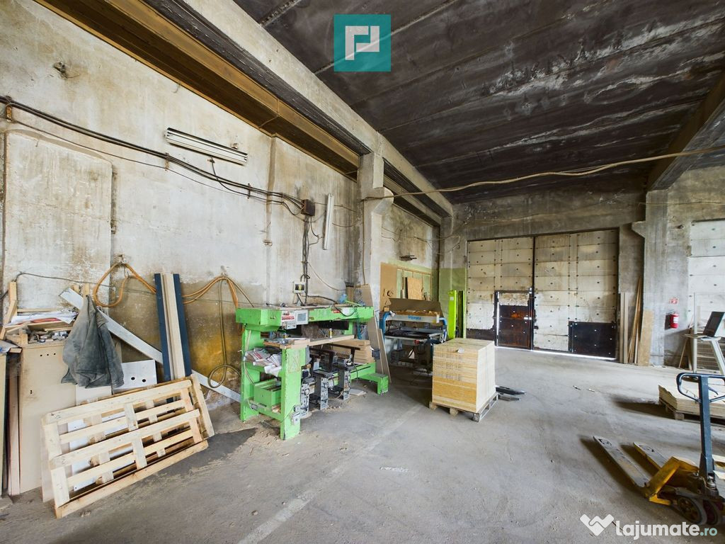 Fabrică de prelucrare a lemnului și palului 