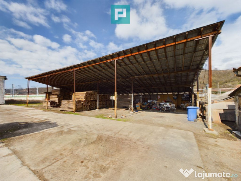 Fabrică de prelucrare a lemnului și palului 