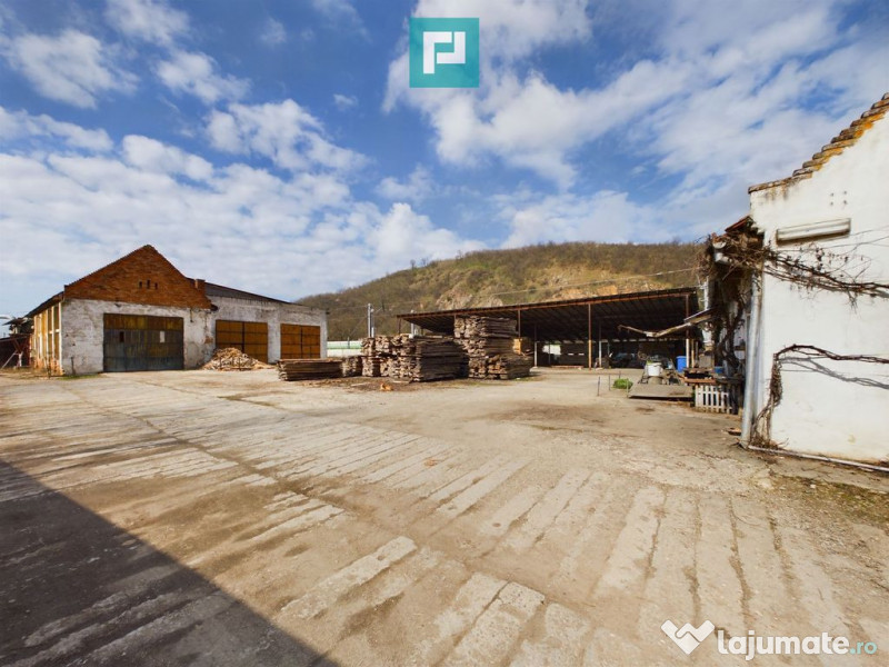 Fabrică de prelucrare a lemnului și palului 