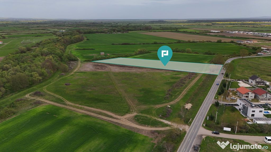 Teren intravilan 5800 mp în Remetea Mare 