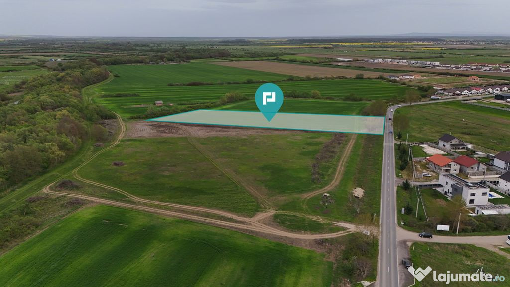 Teren intravilan 5800 mp în Remetea Mare 