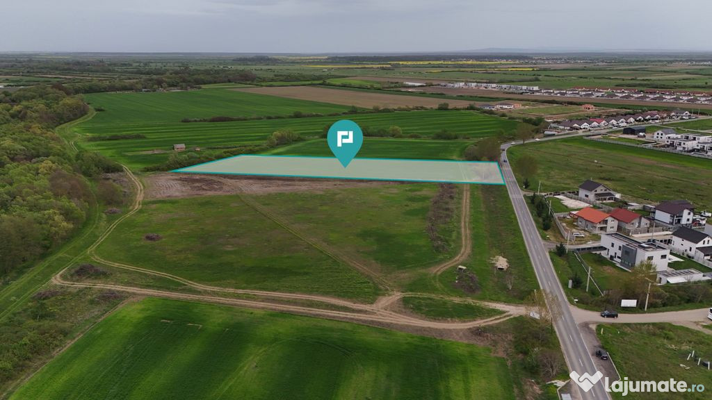 Teren intravilan 5800 mp în Remetea Mare 