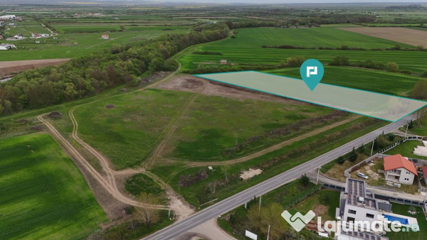 Teren intravilan 5800 mp în Remetea Mare 