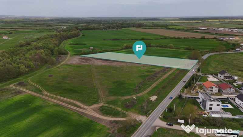 Teren intravilan 5800 mp în Remetea Mare 