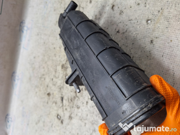 Canistra carbon Dacia Duster - Benzina 2019