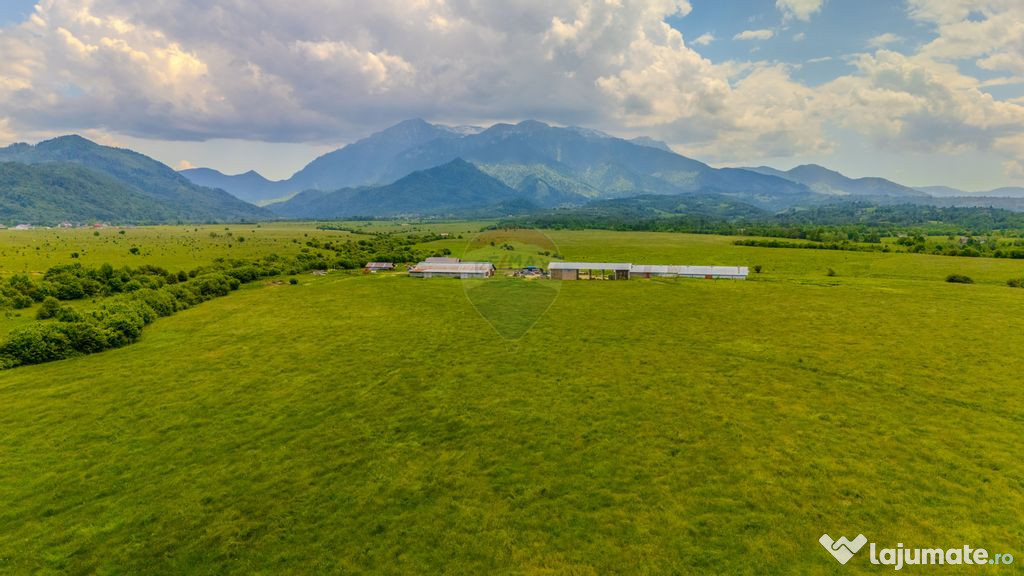 Teren 10,800mp Rasnov / Drumul DN73