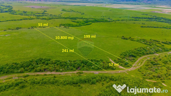 Teren 10,800mp Rasnov / Drumul DN73