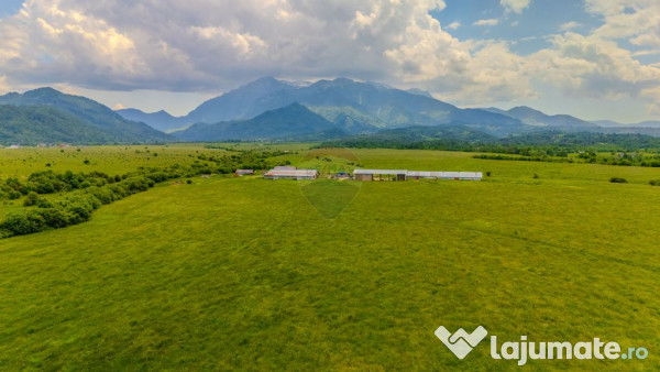 Teren 10,800mp Rasnov / Drumul DN73