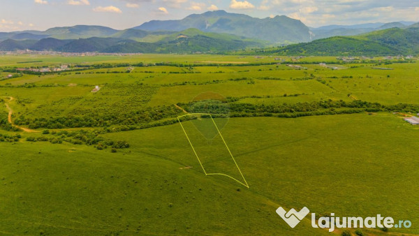 Teren 10,800mp Rasnov / Drumul DN73