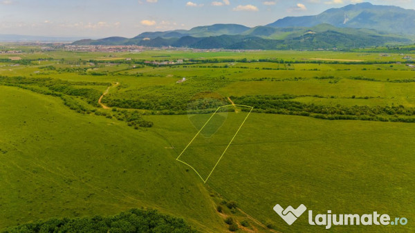 Teren 10,800mp Rasnov / Drumul DN73