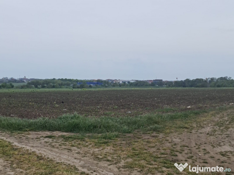 Teren de vanzare in Lazu zona Logistic Park 