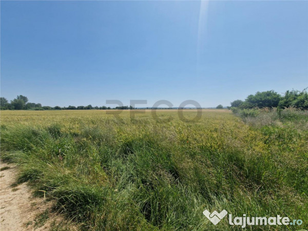 RECO teren intravilan in Fughiu 9 e/mp 