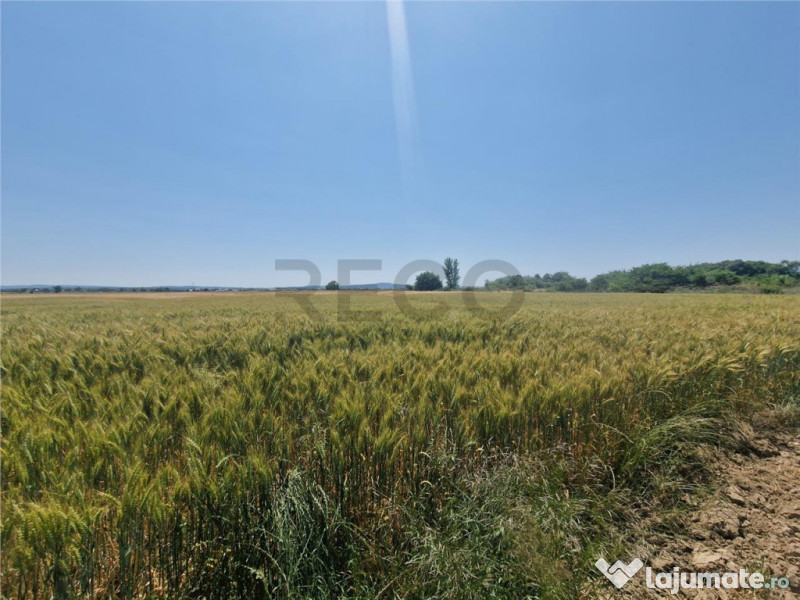 RECO teren intravilan in Fughiu 9 e/mp 