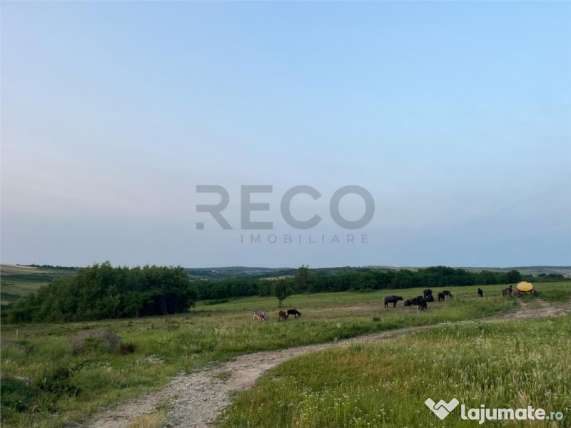 RECO Teren in Paleu 903 mp, acces rapid din Saldabagiu de Mu 