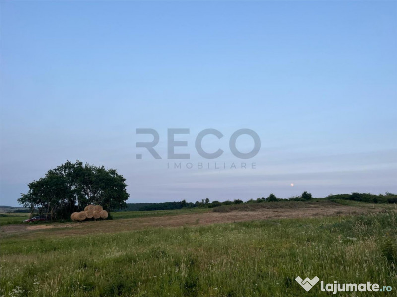 RECO Teren in Paleu 903 mp, acces rapid din Saldabagiu de Mu 