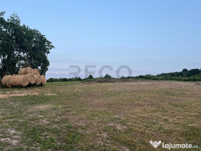 RECO Teren in Paleu 903 mp, acces rapid din Saldabagiu de Mu 