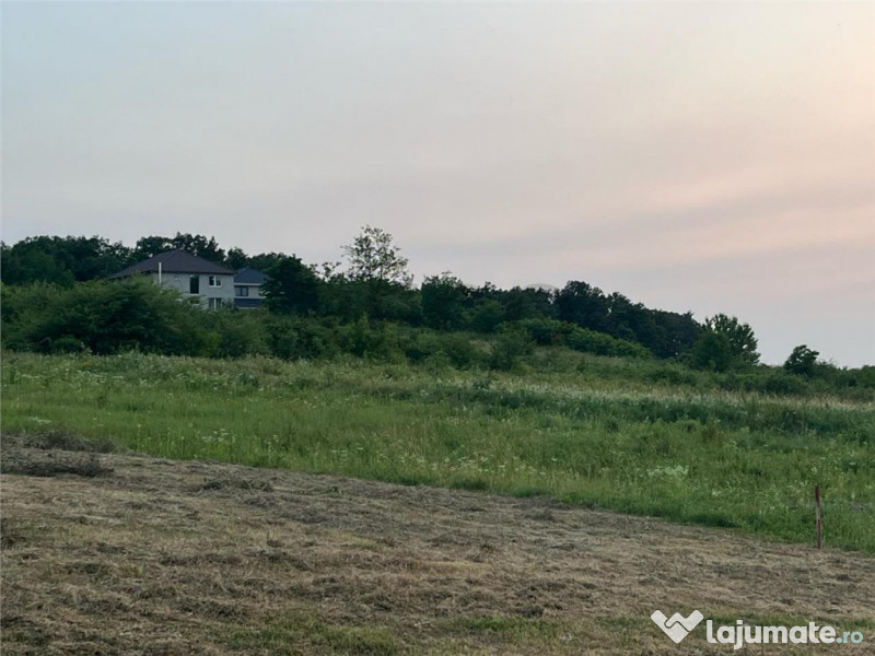 RECO Teren in Paleu 903 mp, acces rapid din Saldabagiu de Mu 