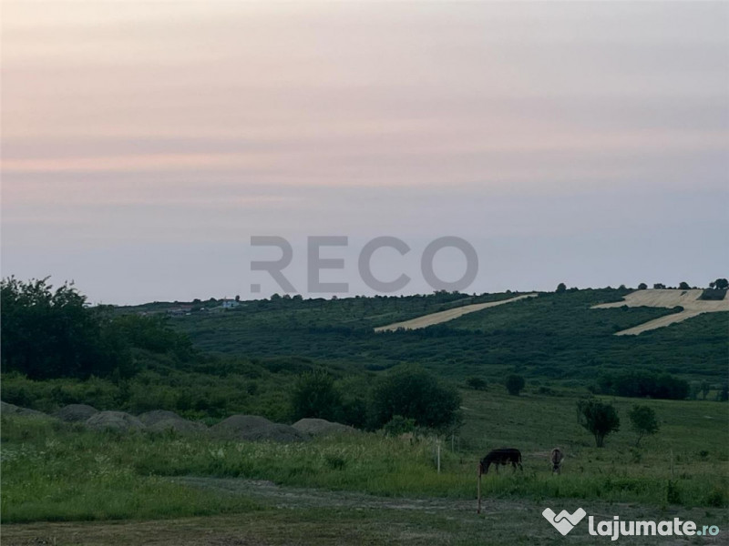 RECO Teren in Paleu 903 mp, acces rapid din Saldabagiu de Mu 