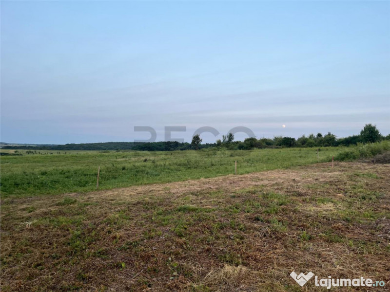 RECO Teren in Paleu 903 mp, acces rapid din Saldabagiu de Mu 