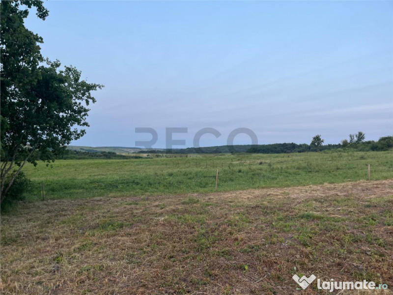 RECO Teren in Paleu 903 mp, acces rapid din Saldabagiu de Mu 