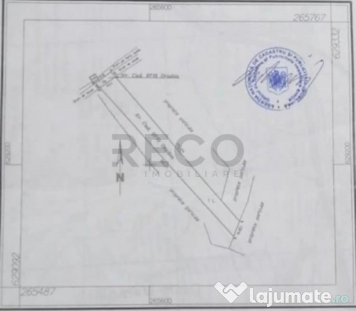 RECO Teren Episcopia 