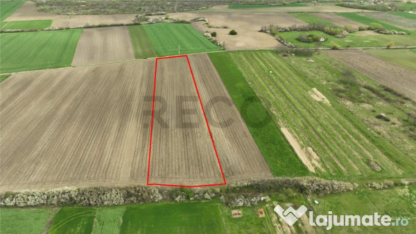 RECO . TEREN INTRAVILAN OSORHEI 