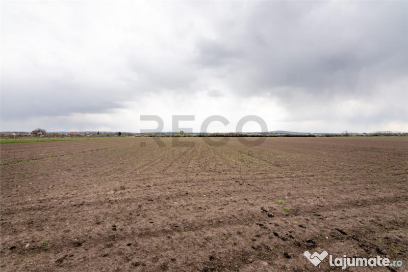 RECO . TEREN INTRAVILAN OSORHEI 