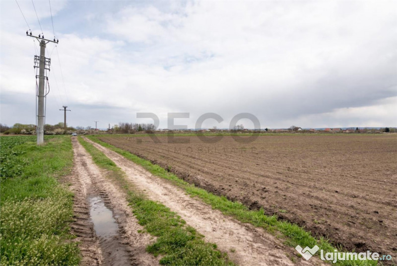 RECO . TEREN INTRAVILAN OSORHEI 