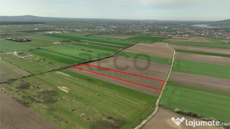 RECO . TEREN INTRAVILAN OSORHEI 