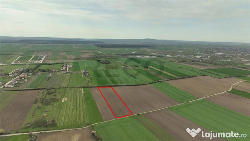 RECO . TEREN INTRAVILAN OSORHEI 