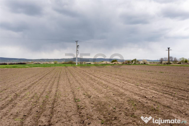 RECO . TEREN INTRAVILAN OSORHEI 