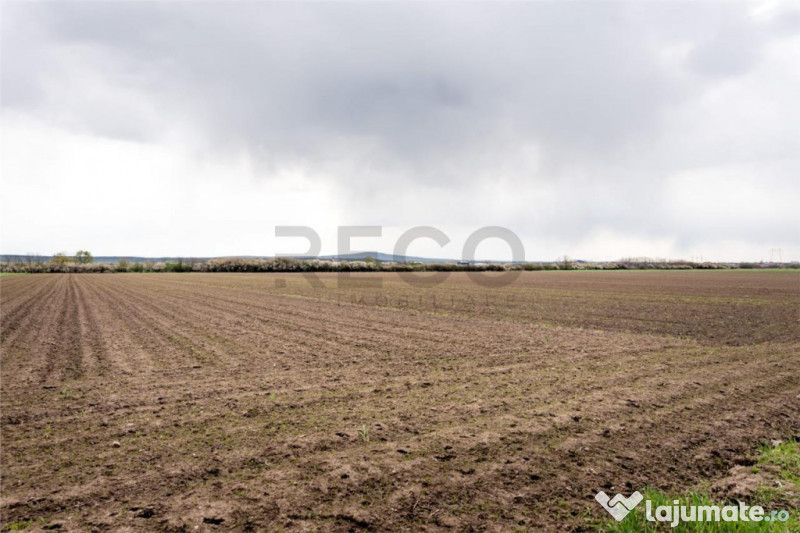 RECO . TEREN INTRAVILAN OSORHEI 