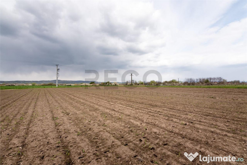 RECO . TEREN INTRAVILAN OSORHEI 