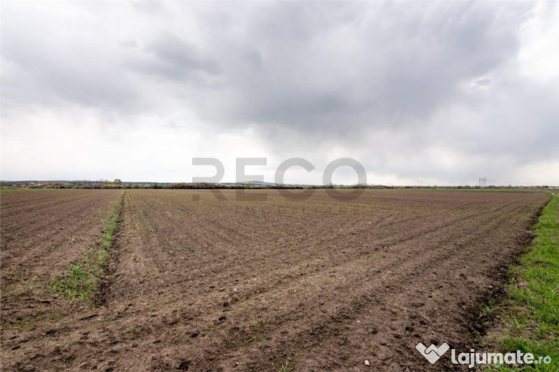 RECO . TEREN INTRAVILAN OSORHEI 