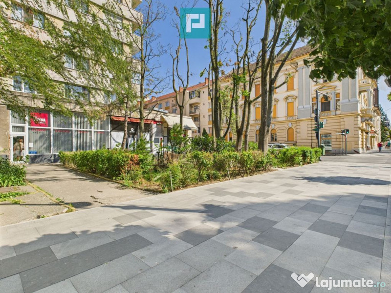 Apartament de închiriat ultracentral Libelula Arad 