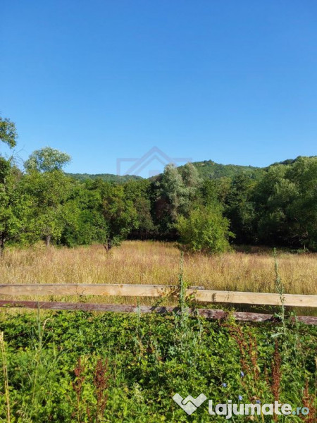 TEREN INTRAVILAN ZĂVOI\ZONA VALEA BISTREI, JUD.C-S