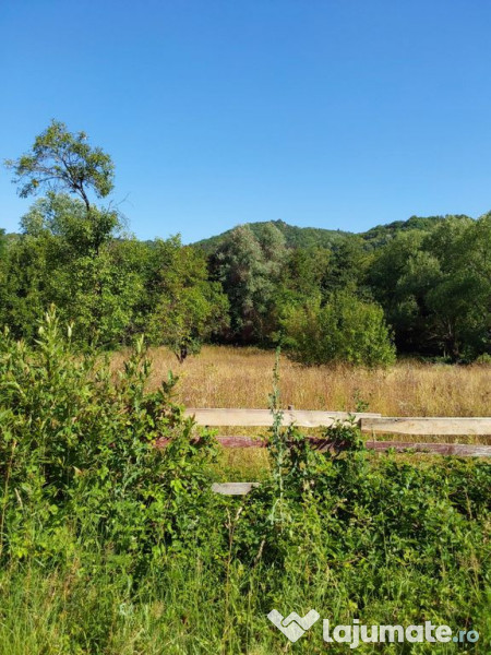 TEREN INTRAVILAN ZĂVOI\ZONA VALEA BISTREI, JUD.C-S