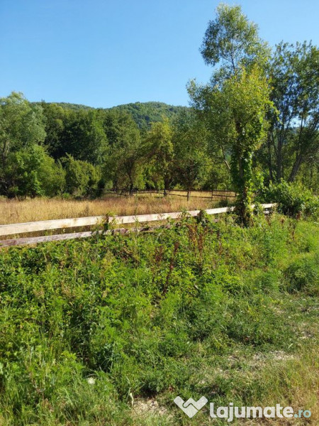 TEREN INTRAVILAN ZĂVOI\ZONA VALEA BISTREI, JUD.C-S
