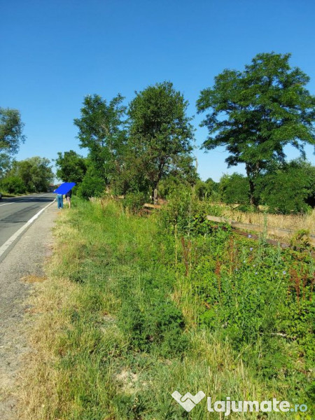TEREN INTRAVILAN ZĂVOI\ZONA VALEA BISTREI, JUD.C-S