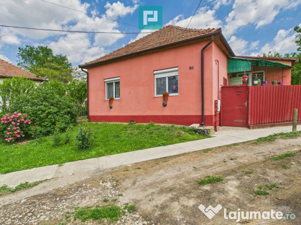 Casă cu 3 camere și teren generos lângă frontieră