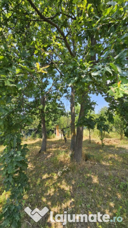 Intravilan 480 mp , loc de casa , zona padure Baicoi Prahova