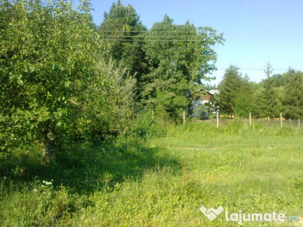 Intravilan 480 mp , loc de casa , zona padure Baicoi Prahova