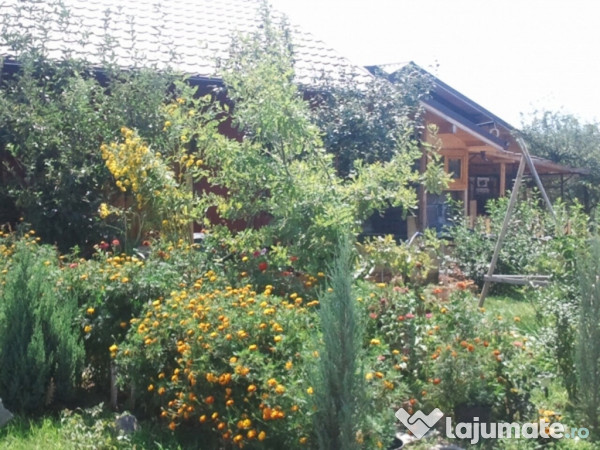 Intravilan 480 mp , loc de casa , zona padure Baicoi Prahova