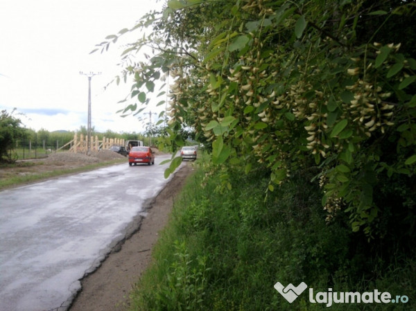 Intravilan 480 mp , loc de casa , zona padure Baicoi Prahova